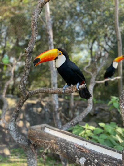 WhatsApp Image 2023-08-03 at 09.03.49