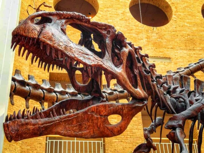 FB_IMG_1698404726524-01