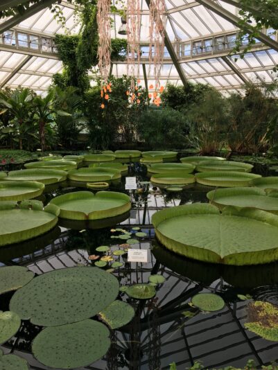 2C35044E-3363-4A89-8B0F-DAAE758C7D6C