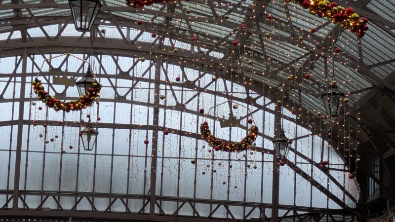 PXL_20251206_114953363 (1)