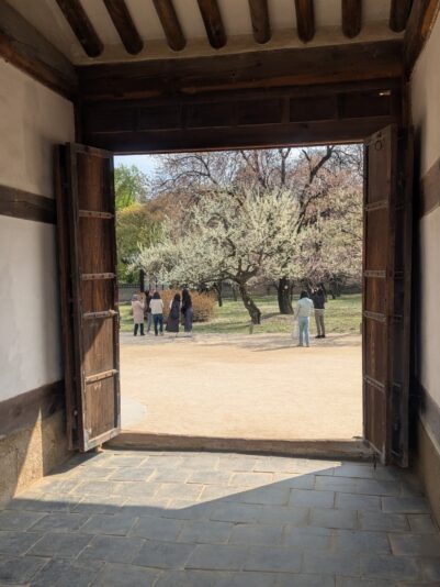 42e4d01f-6845-448f-b5cd-89262bd5ba1f