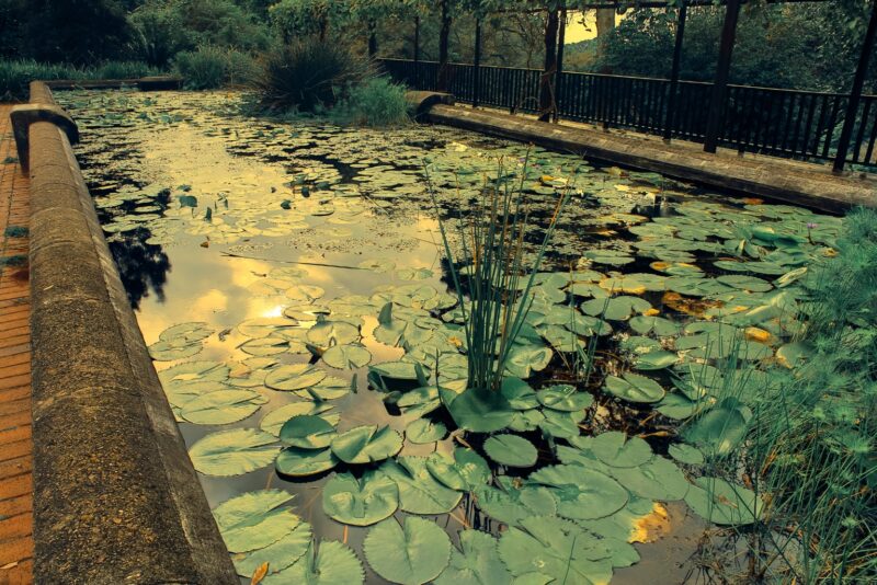 Untitled design (88)