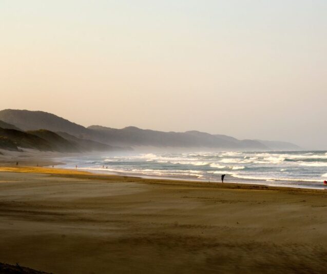 Untitled design - 2025-07-08T214103.818