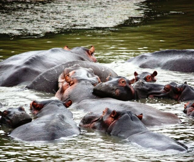 Untitled design - 2025-07-08T214057.835