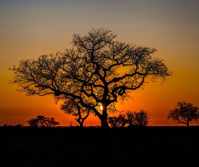 Untitled design - 2025-07-08T214122.261