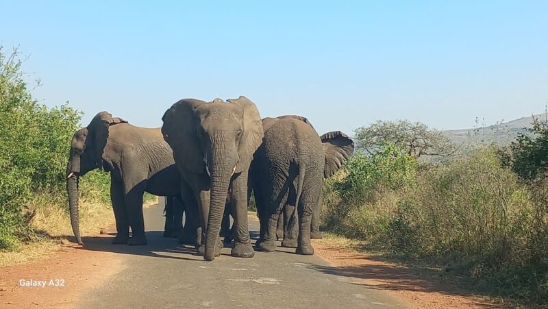 7297be4a-0357-4b0d-bac6-64605fc30de0