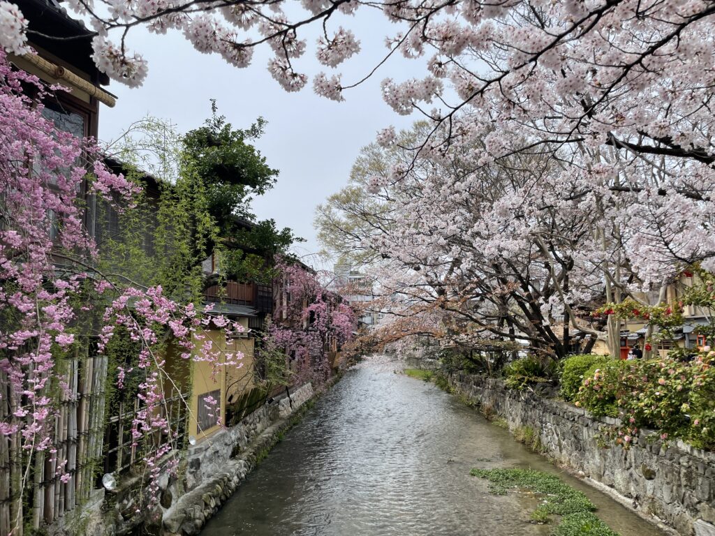 20220402 024734368 iOS