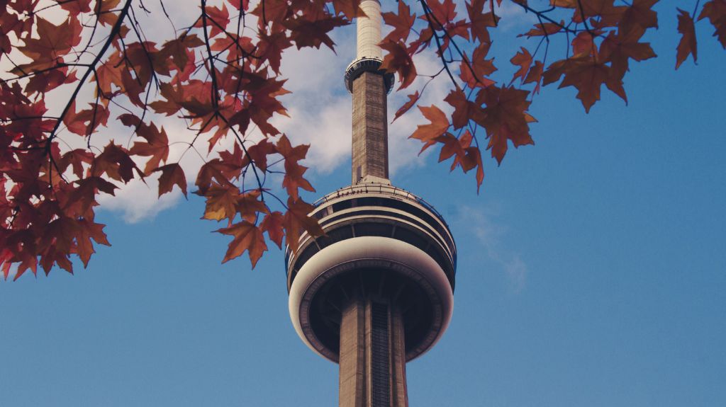Close-up view of the CN Tower framed by red autumn leaves against a clear blue sky.
