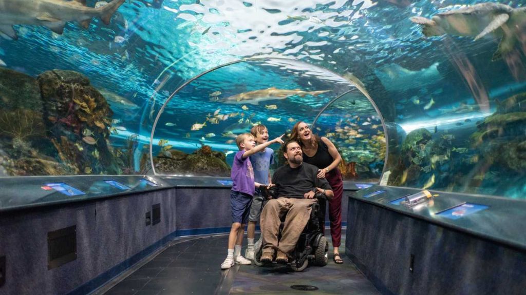 Family enjoys an underwater tunnel at an aquarium, surrounded by fish, sharks, and sea turtles in a curved glass enclosure.