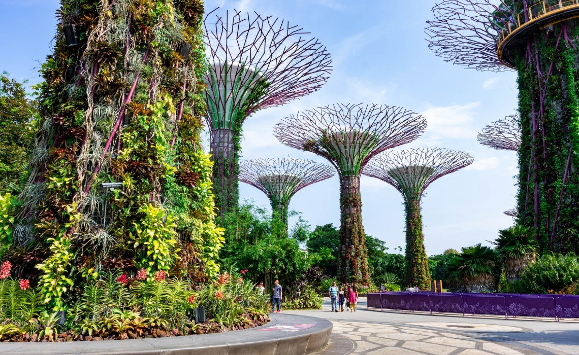 People walking among tall, plant-covered Supertrees at Gardens by the Bay in Singapore on a sunny day.