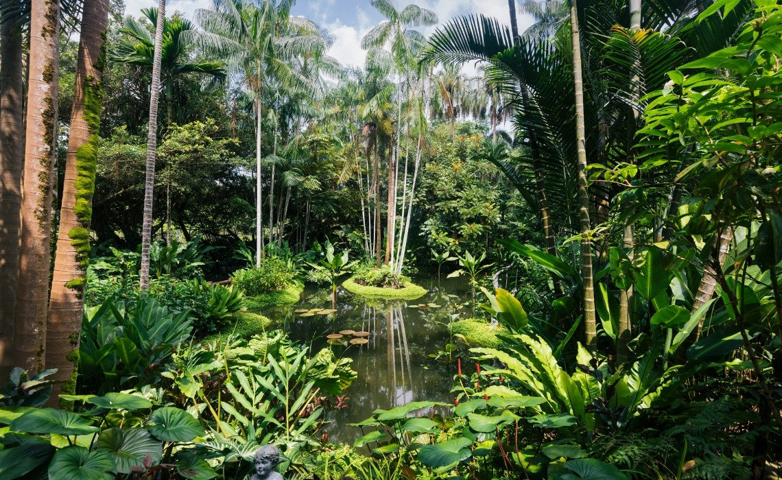 Lush tropical plants and tall palms surround a reflective pond at Singapore Botanic Gardens on a sunny day.