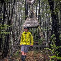 Profile photo of Nick