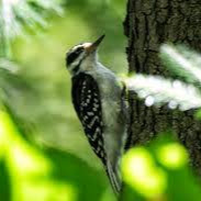 Profile photo of caylarichards