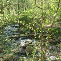 Profile photo of Kristina