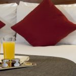 Profile photo of sophiajohns