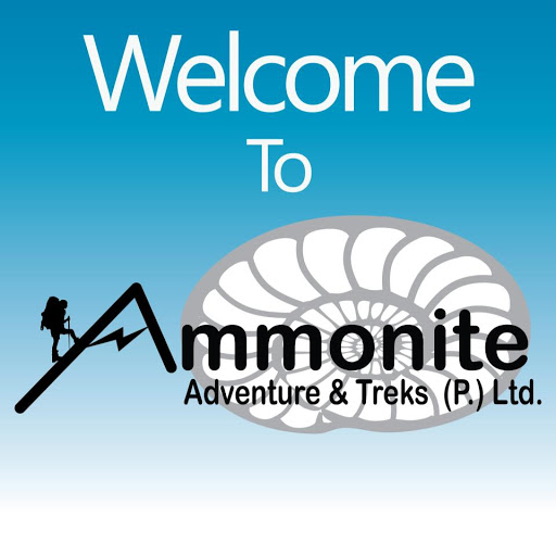 Profile photo of Ammonite
