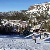 Profile photo of sara75