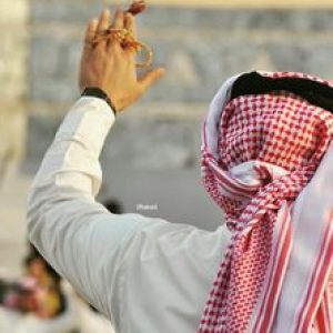 Profile photo of hamidbassam