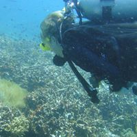 Profile photo of eml16