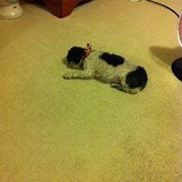 Profile photo of rebeccaj1965