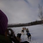 Profile photo of Susie