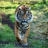 Profile photo of emrick