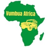 Profile photo of Vumbua Africa