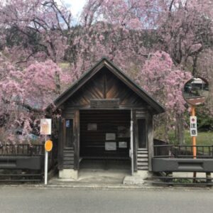 Profile photo of ONETRAIL