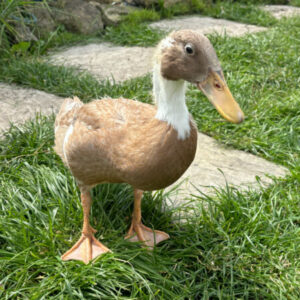 Profile photo of Louise