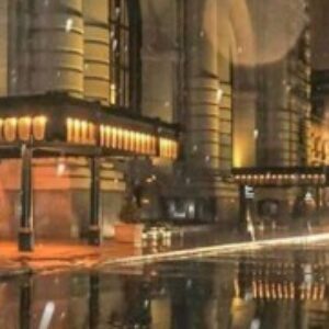 Profile photo of Lazitopia