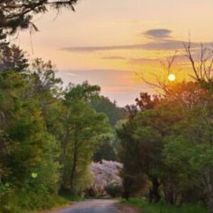 Profile photo of Wendy