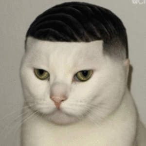 Profile photo of Gotta