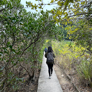 Profile photo of Kimmy Chan (Kimmy)