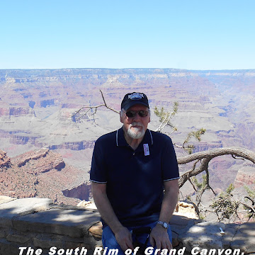 Profile photo of Peter Lombardo